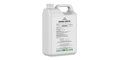BAND 500 SC