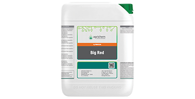 Big Red