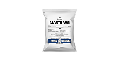 Marte WG