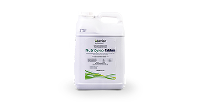 NutriSync Calcium
